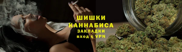mdpv Каменка