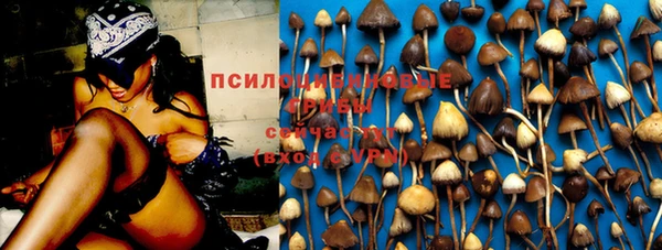 таблы Каменногорск