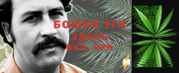 mdpv Каменка