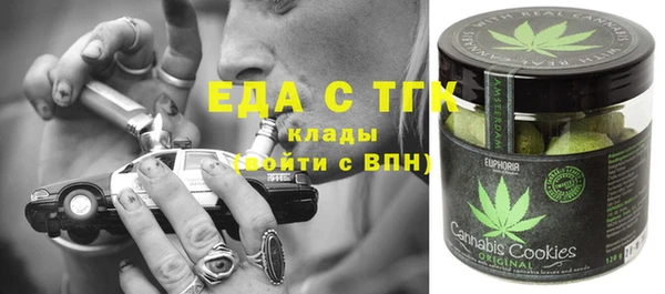 mdpv Каменка