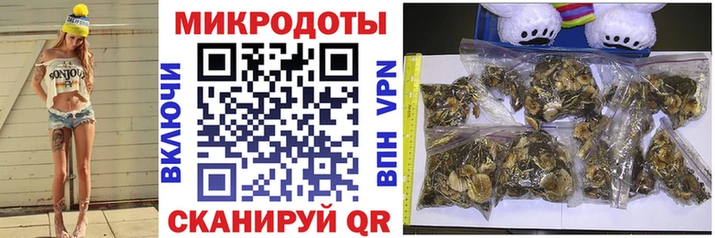 Псилоцибиновые грибы GOLDEN TEACHER  Купить закладки  Каменск-Шахтинский 